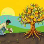 O Poder da Constância: A Chave para o Crescimento Financeiro